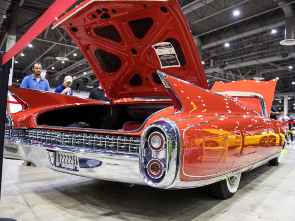 2025 Registration - Image 5